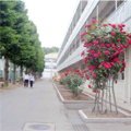 群馬県立高崎高等学校